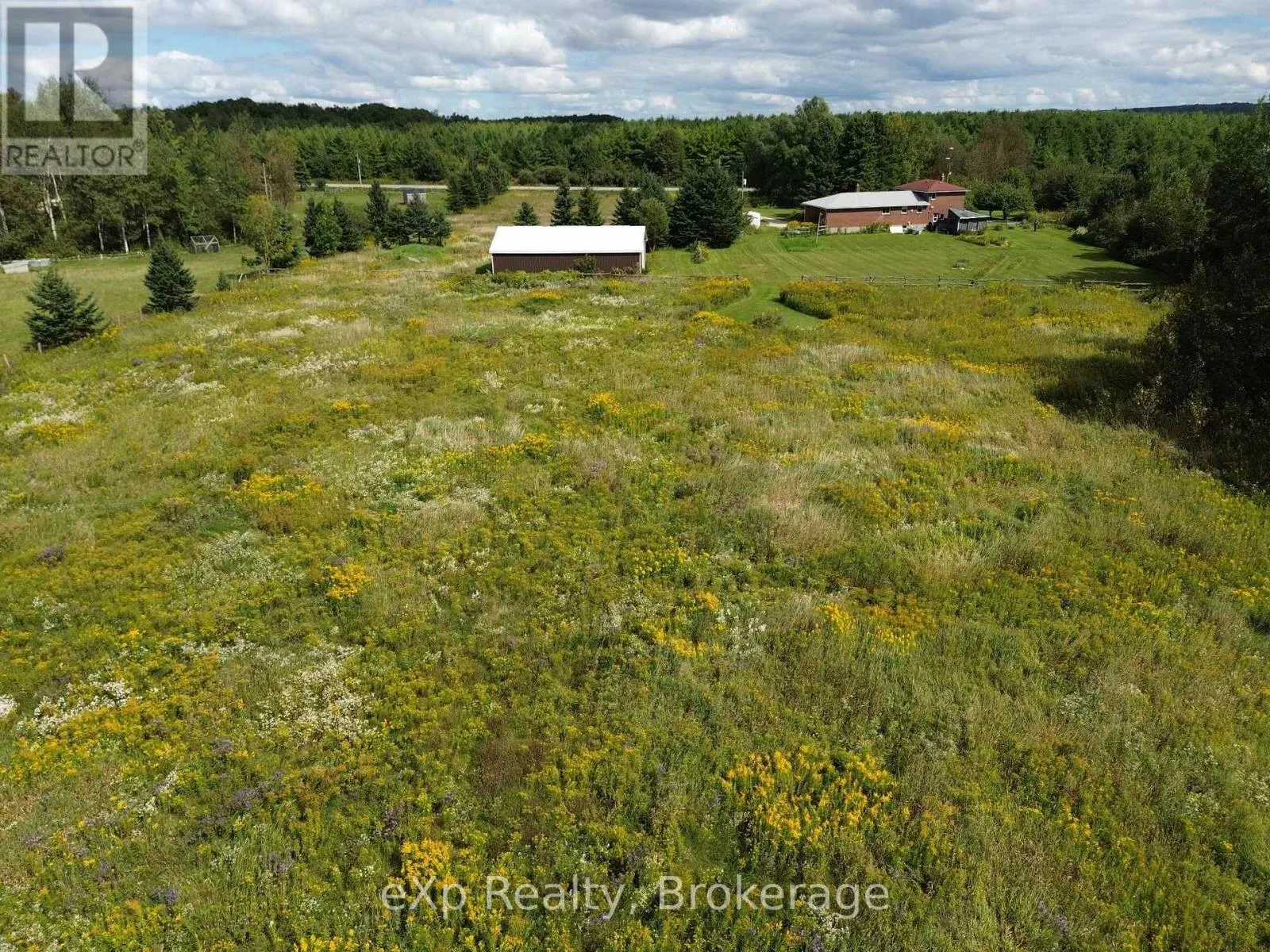 Back Meadow Back Meadow