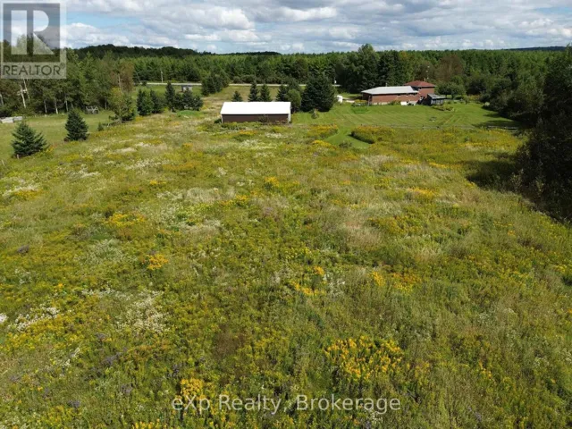 Back Meadow