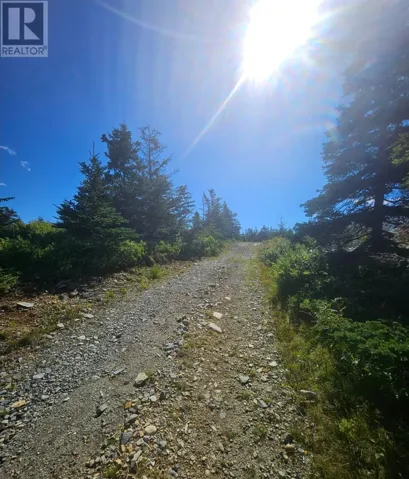 95A Chipmans Road, Spaniards Bay, Newfoundland & Labrador A0A3X0