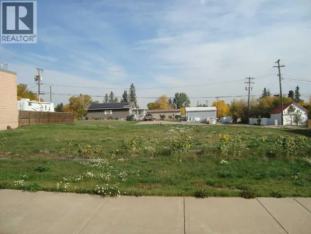218 Main Street, Trochu, Alberta T0M2C0