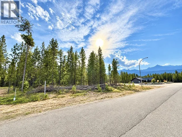 1255 18TH AVENUE, Valemount, British Columbia V0E2Z0