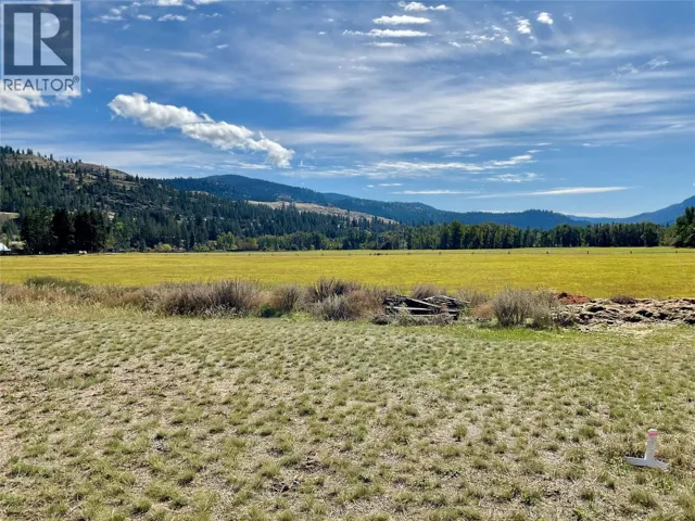 388 Fourth Avenue, Midway, British Columbia V0H1M0