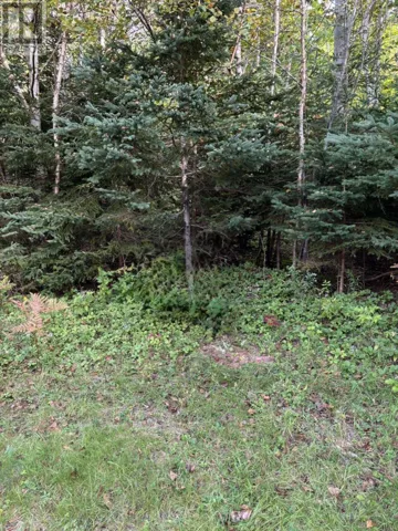 Lot 1 Panmure Island Road, Panmure Island, Prince Edward Island C0A1R0
