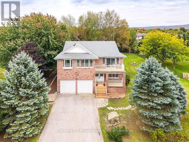 46 DONALD AVENUE, Clearview (Nottawa), Ontario L0M1P0