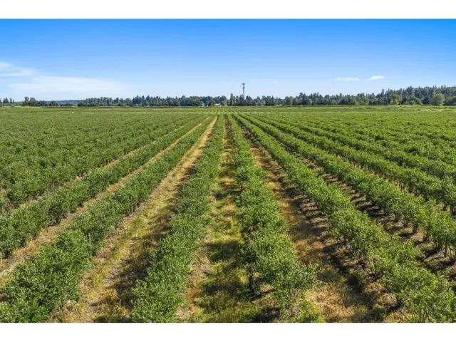 15683 64 AVENUE, Surrey, British Columbia V3S2A2