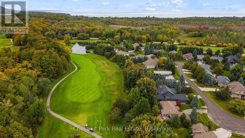 Aerial view of the community street
