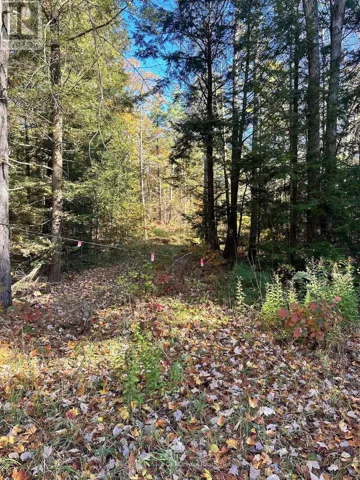 1101 DOE LAKE ROAD, Gravenhurst (Muskoka (S)), Ontario P1P1R3