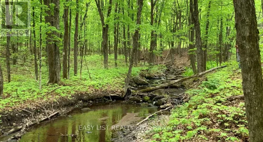 LOT 1 COLONIAL ROAD, Minden Hills (Snowdon), Ontario K0M2K0