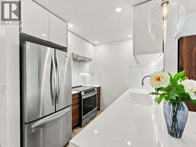 203 1729 E GEORGIA STREET, Vancouver, British Columbia V5L2B3