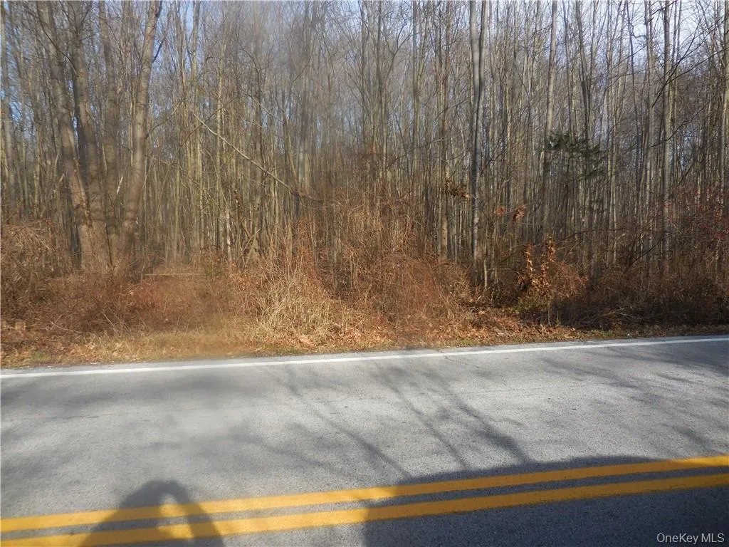 Lakeside Road, Newburgh (town), NY, ,Land,For Rent,Lakeside,0,H6158575 Lakeside Road, Newburgh (town), NY, ,Land,For Rent,Lakeside,0,H6158575