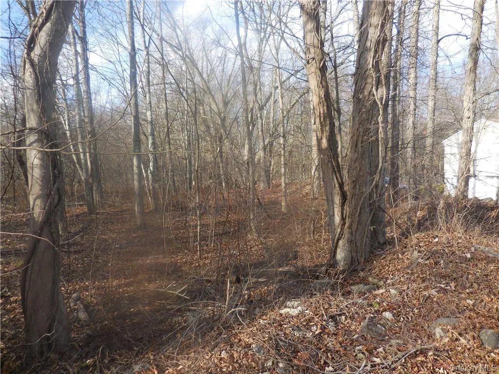 Lakeside Road, Newburgh (town), NY, ,Land,For Rent,Lakeside,0,H6158575 Lakeside Road, Newburgh (town), NY, ,Land,For Rent,Lakeside,0,H6158575
