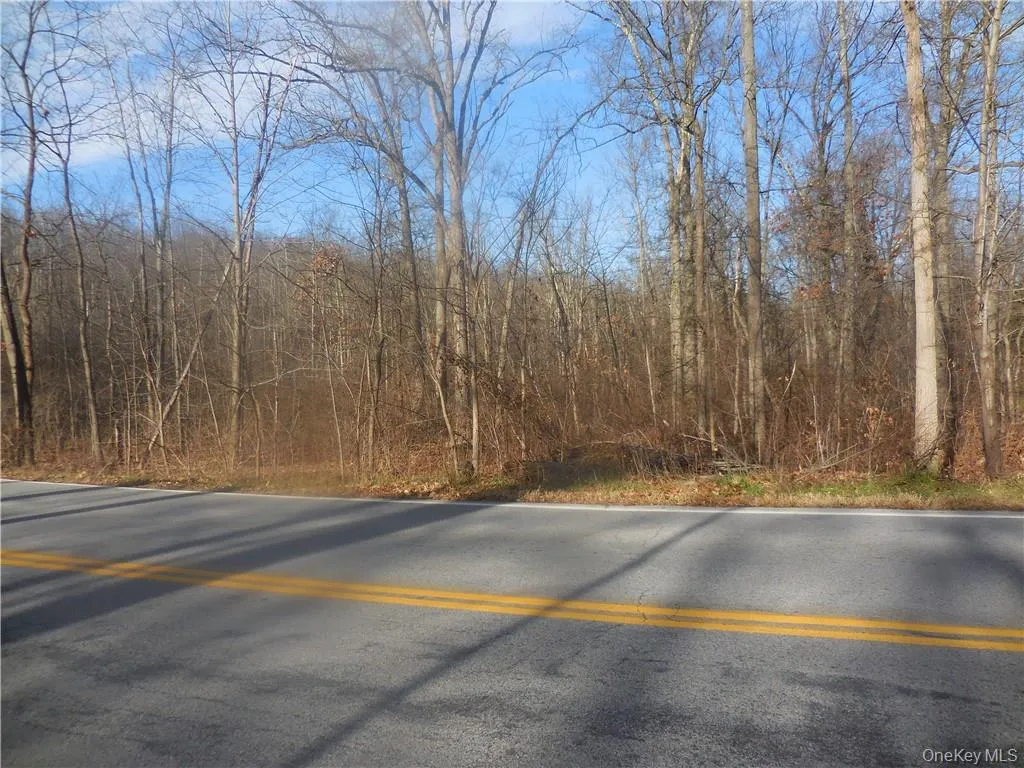 Lakeside Road, Newburgh (town), NY, ,Land,For Rent,Lakeside,0,H6158575 Lakeside Road, Newburgh (town), NY, ,Land,For Rent,Lakeside,0,H6158575
