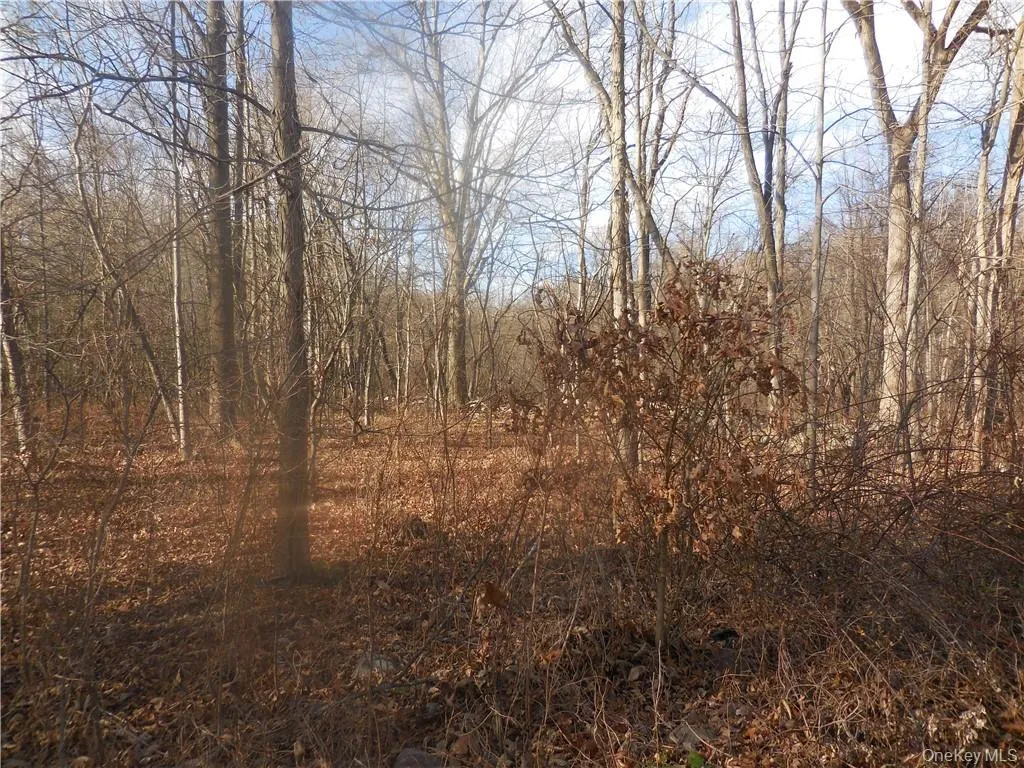 Lakeside Road, Newburgh (town), NY, ,Land,For Rent,Lakeside,0,H6158575 Lakeside Road, Newburgh (town), NY, ,Land,For Rent,Lakeside,0,H6158575