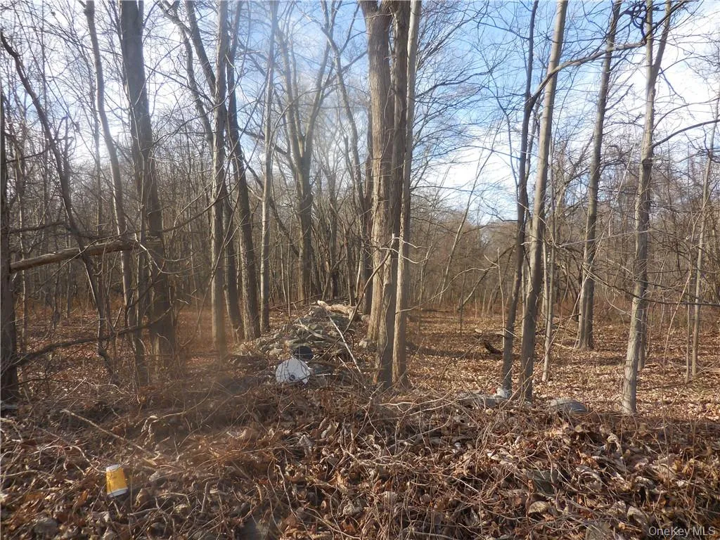 Lakeside Road, Newburgh (town), NY, ,Land,For Rent,Lakeside,0,H6158575 Lakeside Road, Newburgh (town), NY, ,Land,For Rent,Lakeside,0,H6158575