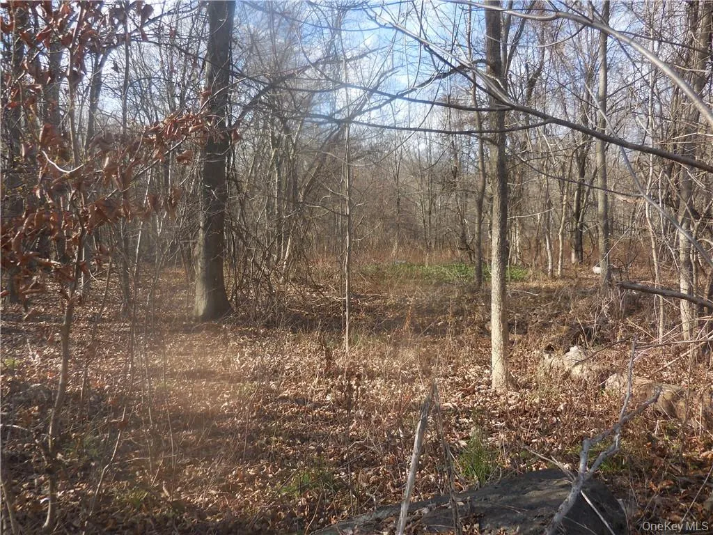 Lakeside Road, Newburgh (town), NY, ,Land,For Rent,Lakeside,0,H6158575 Lakeside Road, Newburgh (town), NY, ,Land,For Rent,Lakeside,0,H6158575