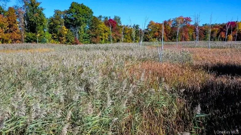 225 Route 22, Pawling, NY, ,Land,For Rent,Route 22,0,H6215066 225 Route 22, Pawling, NY, ,Land,For Rent,Route 22,0,H6215066
