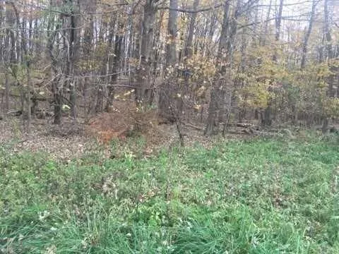 2452 Route 52, East Fishkill, NY, ,Land,For Rent,Route 52,0,H6217545 2452 Route 52, East Fishkill, NY, ,Land,For Rent,Route 52,0,H6217545