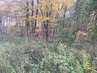 2452 Route 52, East Fishkill, NY, ,Land,For Rent,Route 52,0,H6217545 2452 Route 52, East Fishkill, NY, ,Land,For Rent,Route 52,0,H6217545