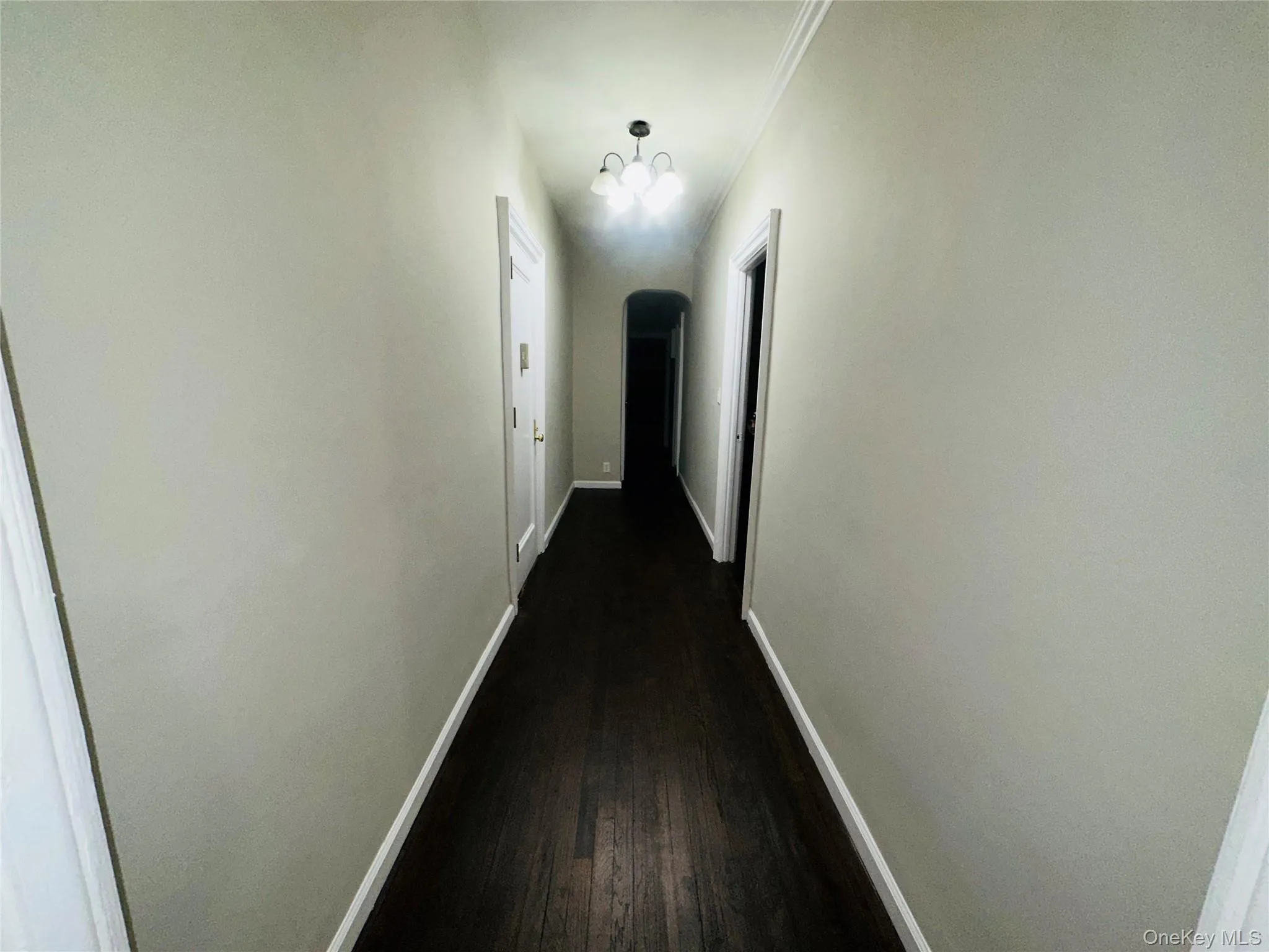 Corridor featuring dark hardwood / wood-style flooring and ornamental molding Corridor featuring dark hardwood / wood-style flooring and ornamental molding