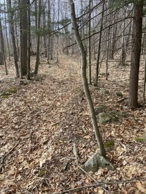 219 Bailey Road, Jewett, NY, ,Land,For Rent,Bailey,0,H6244115 219 Bailey Road, Jewett, NY, ,Land,For Rent,Bailey,0,H6244115