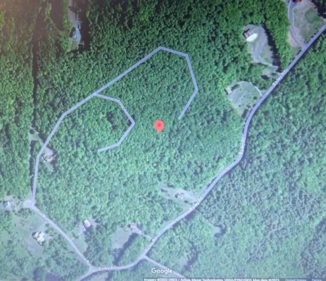 219 Bailey Road, Jewett, NY, ,Land,For Rent,Bailey,0,H6244115 219 Bailey Road, Jewett, NY, ,Land,For Rent,Bailey,0,H6244115