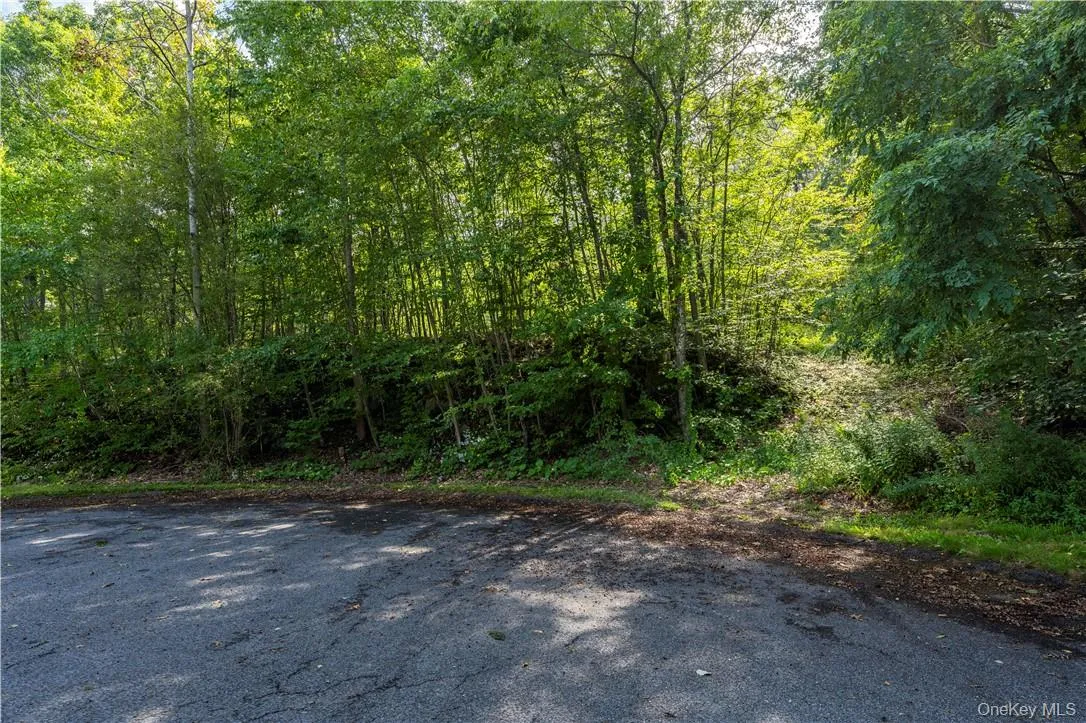 10 William Way, East Fishkill, NY, ,Land,For Rent,William,0,H6266313 10 William Way, East Fishkill, NY, ,Land,For Rent,William,0,H6266313