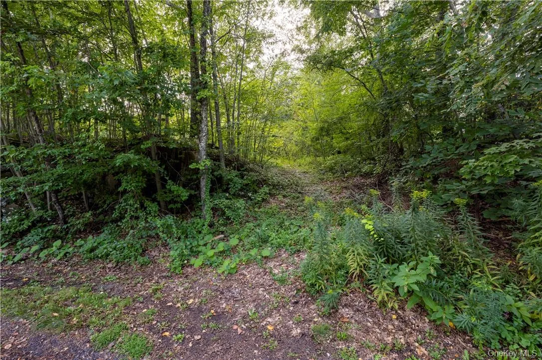 10 William Way, East Fishkill, NY, ,Land,For Rent,William,0,H6266313 10 William Way, East Fishkill, NY, ,Land,For Rent,William,0,H6266313