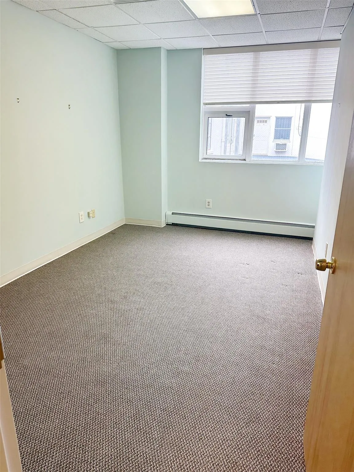 Spare room with carpet flooring, baseboards, and a drop ceiling Spare room with carpet flooring, baseboards, and a drop ceiling