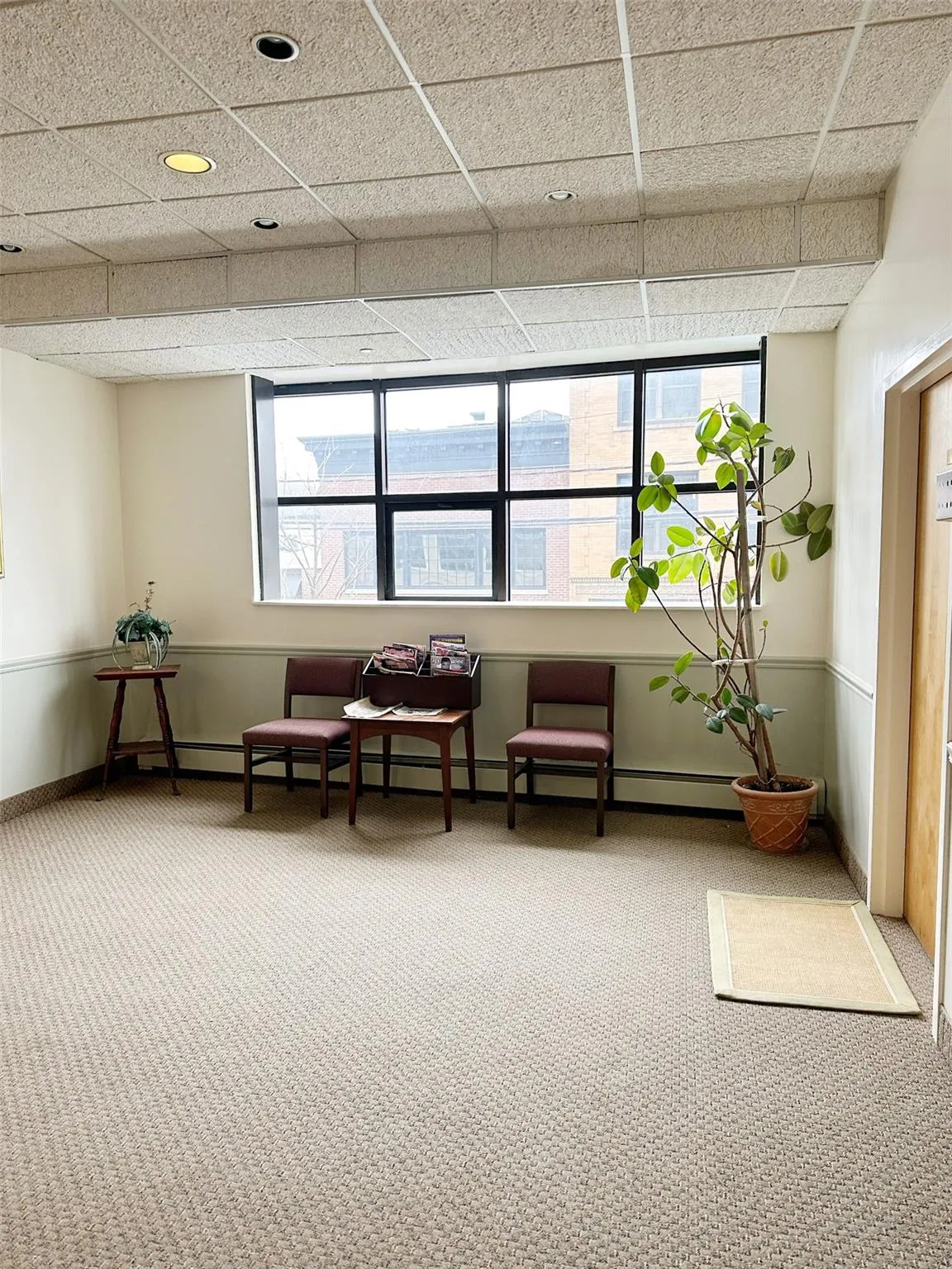Living area with baseboards, a paneled ceiling, carpet, and a baseboard radiator Living area with baseboards, a paneled ceiling, carpet, and a baseboard radiator