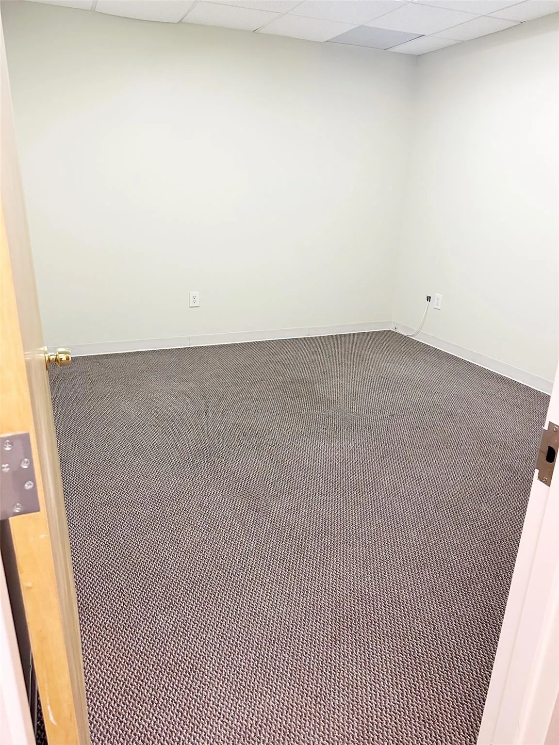 Carpeted empty room featuring baseboards and a drop ceiling Carpeted empty room featuring baseboards and a drop ceiling