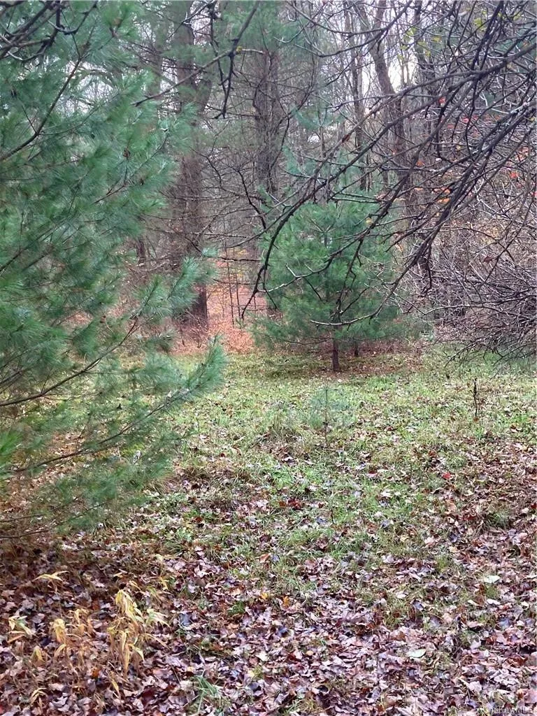 140 Plank Road, Bethel, NY, ,Land,For Rent,Plank,0,H6274706 140 Plank Road, Bethel, NY, ,Land,For Rent,Plank,0,H6274706