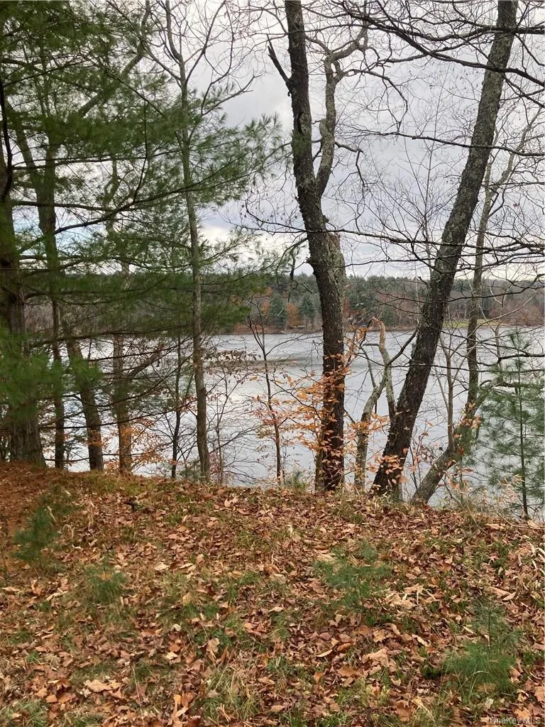 140 Plank Road, Bethel, NY, ,Land,For Rent,Plank,0,H6274706 140 Plank Road, Bethel, NY, ,Land,For Rent,Plank,0,H6274706