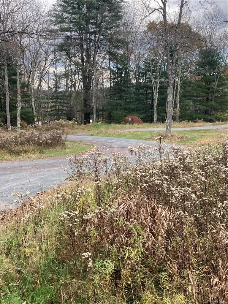 140 Plank Road, Bethel, NY, ,Land,For Rent,Plank,0,H6274706 140 Plank Road, Bethel, NY, ,Land,For Rent,Plank,0,H6274706