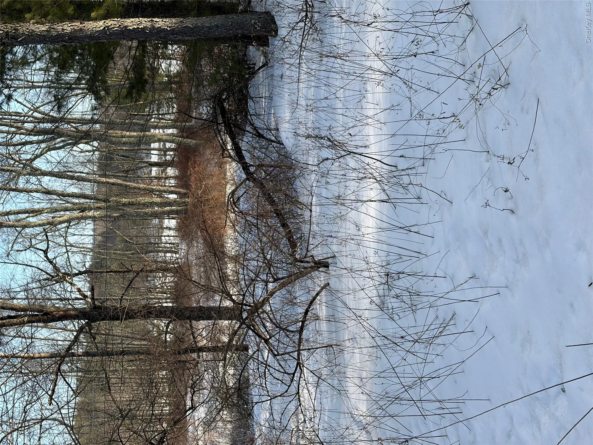 140 Plank Road, Bethel, NY, ,Land,For Rent,Plank,0,H6274706 140 Plank Road, Bethel, NY, ,Land,For Rent,Plank,0,H6274706