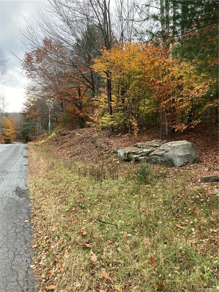 140 Plank Road, Bethel, NY, ,Land,For Rent,Plank,0,H6274706 140 Plank Road, Bethel, NY, ,Land,For Rent,Plank,0,H6274706