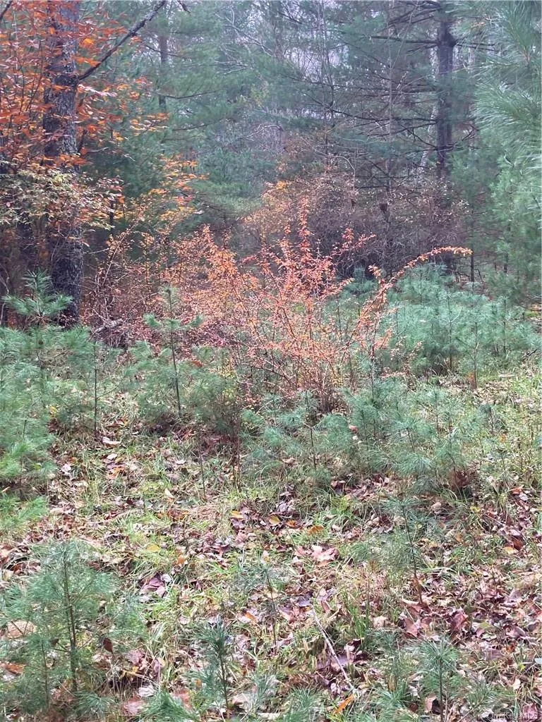 140 Plank Road, Bethel, NY, ,Land,For Rent,Plank,0,H6274706 140 Plank Road, Bethel, NY, ,Land,For Rent,Plank,0,H6274706