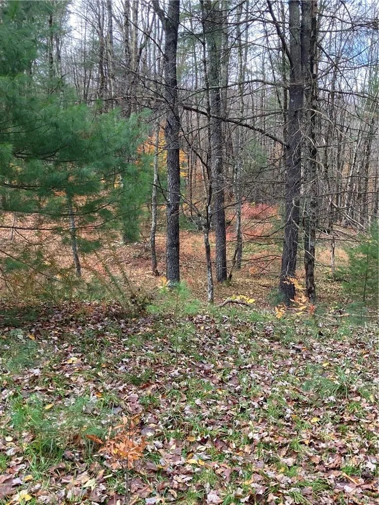 140 Plank Road, Bethel, NY, ,Land,For Rent,Plank,0,H6274706 140 Plank Road, Bethel, NY, ,Land,For Rent,Plank,0,H6274706
