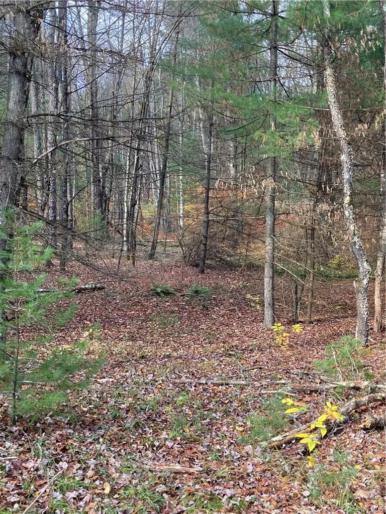 140 Plank Road, Bethel, NY, ,Land,For Rent,Plank,0,H6274706 140 Plank Road, Bethel, NY, ,Land,For Rent,Plank,0,H6274706