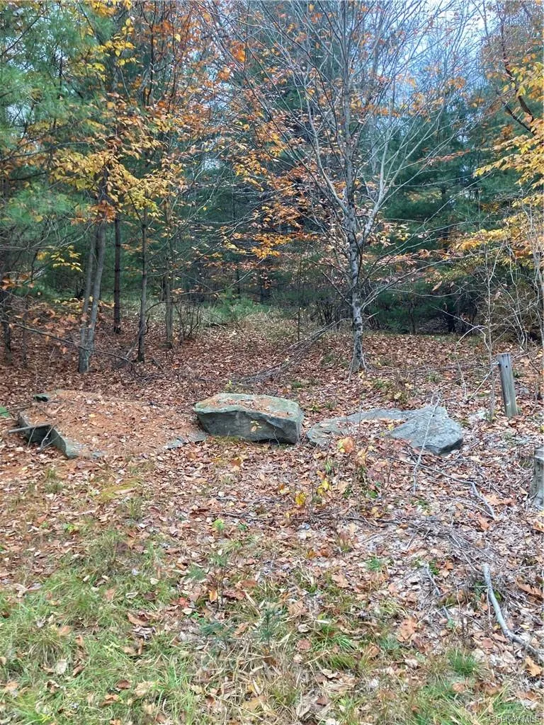 140 Plank Road, Bethel, NY, ,Land,For Rent,Plank,0,H6274706 140 Plank Road, Bethel, NY, ,Land,For Rent,Plank,0,H6274706