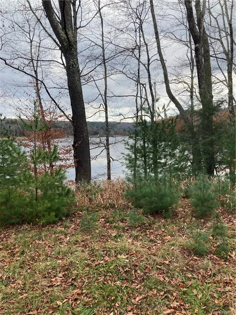 140 Plank Road, Bethel, NY, ,Land,For Rent,Plank,0,H6274706 140 Plank Road, Bethel, NY, ,Land,For Rent,Plank,0,H6274706