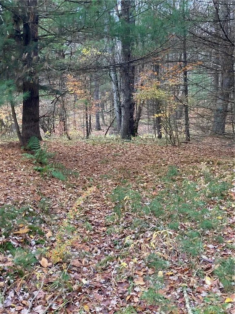 140 Plank Road, Bethel, NY, ,Land,For Rent,Plank,0,H6274706 140 Plank Road, Bethel, NY, ,Land,For Rent,Plank,0,H6274706