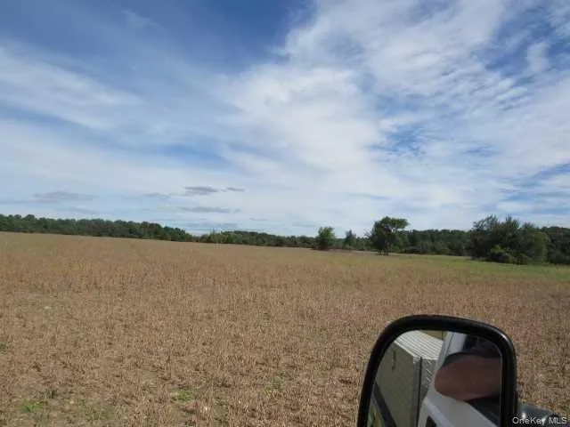 COUNTY ROAD 19, Livingston, NY, ,Land,For Rent,COUNTY ROAD 19,0,M373078 COUNTY ROAD 19, Livingston, NY, ,Land,For Rent,COUNTY ROAD 19,0,M373078