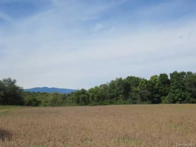 COUNTY ROAD 19, Livingston, NY, ,Land,For Rent,COUNTY ROAD 19,0,M373078 COUNTY ROAD 19, Livingston, NY, ,Land,For Rent,COUNTY ROAD 19,0,M373078