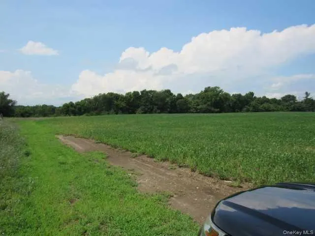 COUNTY ROAD 19, Livingston, NY, ,Land,For Rent,COUNTY ROAD 19,0,M373078 COUNTY ROAD 19, Livingston, NY, ,Land,For Rent,COUNTY ROAD 19,0,M373078