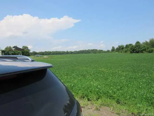 COUNTY ROAD 19, Livingston, NY, ,Land,For Rent,COUNTY ROAD 19,0,M373078 COUNTY ROAD 19, Livingston, NY, ,Land,For Rent,COUNTY ROAD 19,0,M373078
