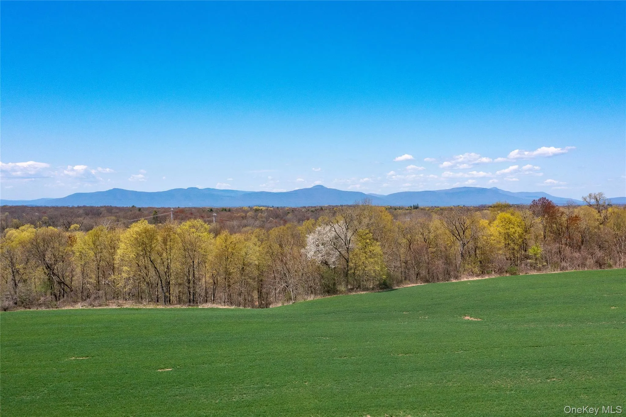 View of mountain backdrop featuring a forest View of mountain backdrop featuring a forest