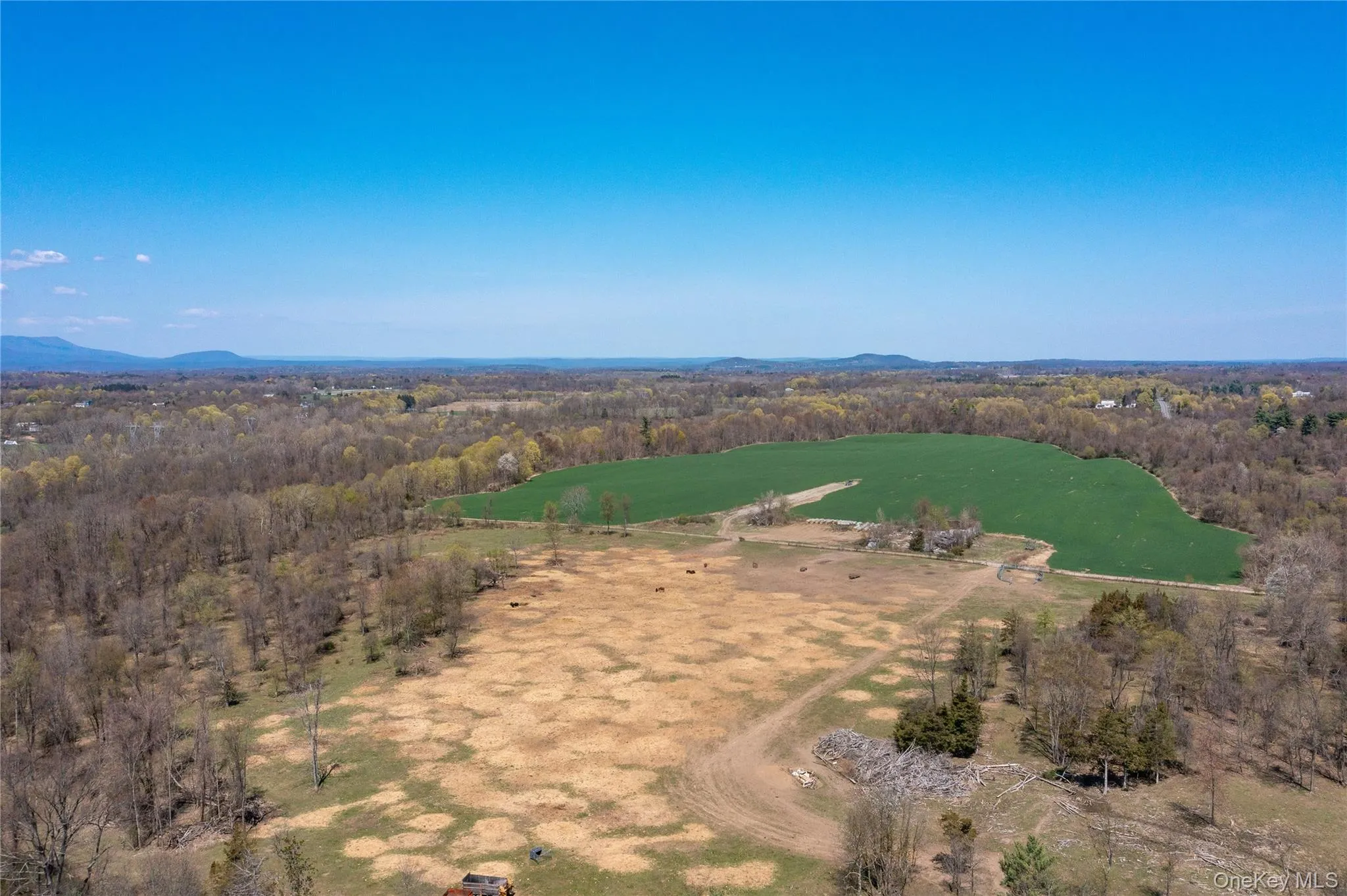 Aerial view of sparsely populated area with a forest Aerial view of sparsely populated area with a forest
