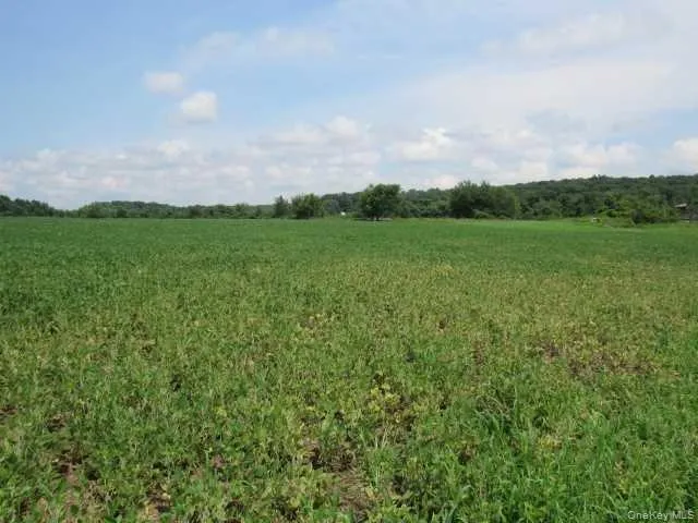 COUNTY ROAD 19, Livingston, NY, ,Land,For Rent,COUNTY ROAD 19,0,M373078 COUNTY ROAD 19, Livingston, NY, ,Land,For Rent,COUNTY ROAD 19,0,M373078