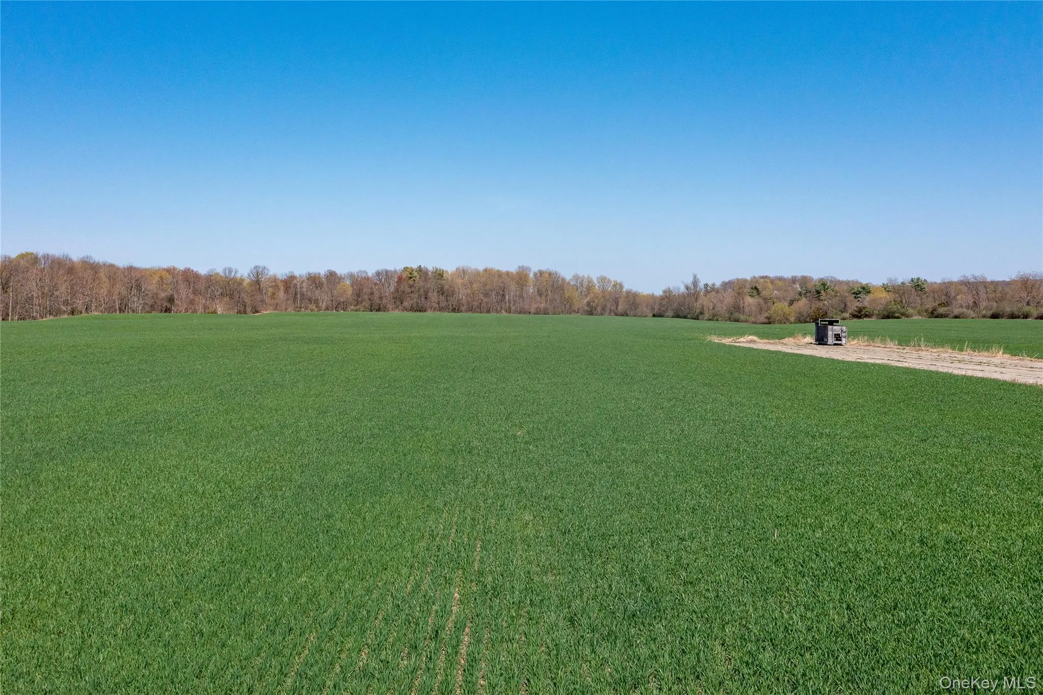 View of grassy yard featuring driveway and a view of countryside View of grassy yard featuring driveway and a view of countryside