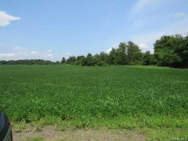 COUNTY ROAD 19, Livingston, NY, ,Land,For Rent,COUNTY ROAD 19,0,M373078 COUNTY ROAD 19, Livingston, NY, ,Land,For Rent,COUNTY ROAD 19,0,M373078